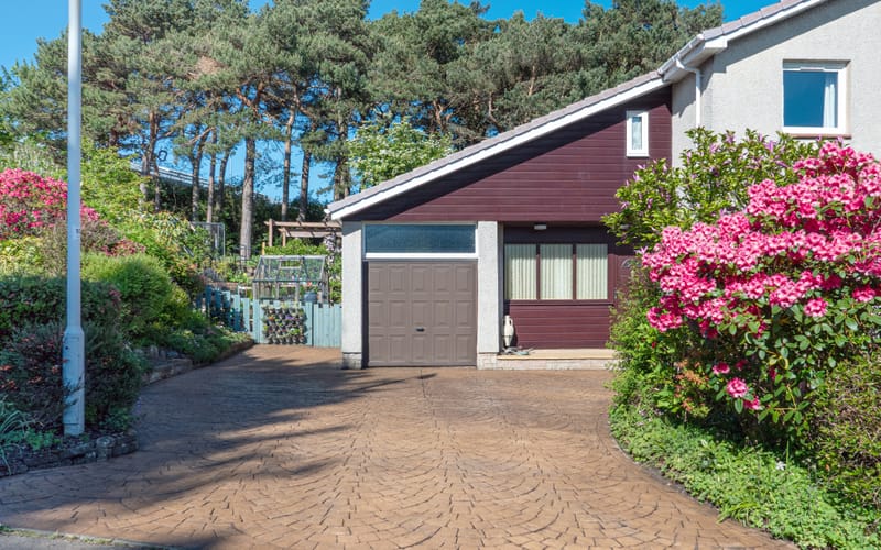 All taken in the garden