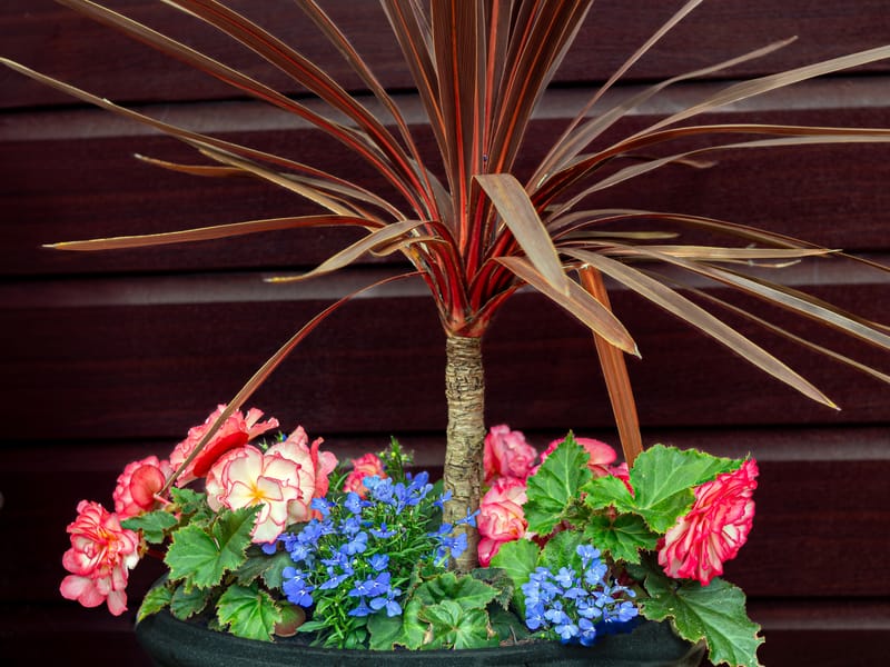 All taken in the garden