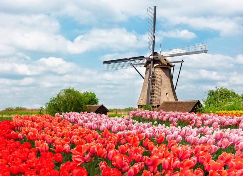 Sustainable Tourism Program in the Netherlands – 4 Days