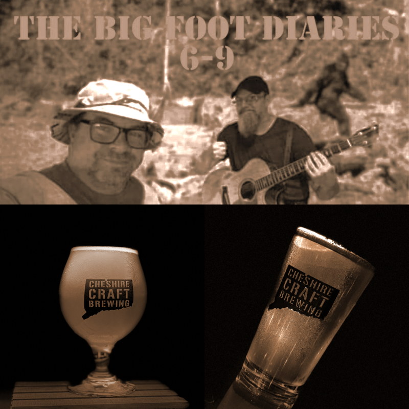 Live Music: Big Foot Diaries, duo