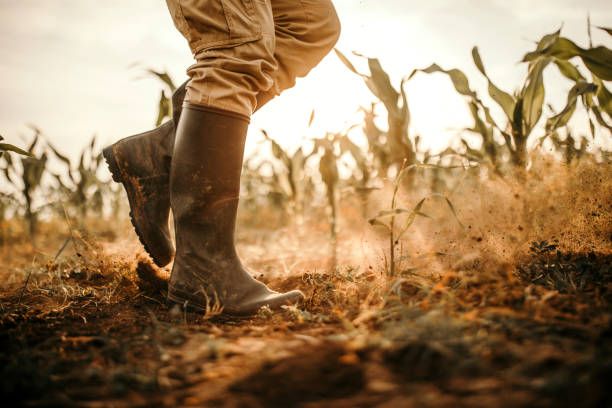 La agenda para la transformación verdadera del campo en el segundo piso de la 4T.