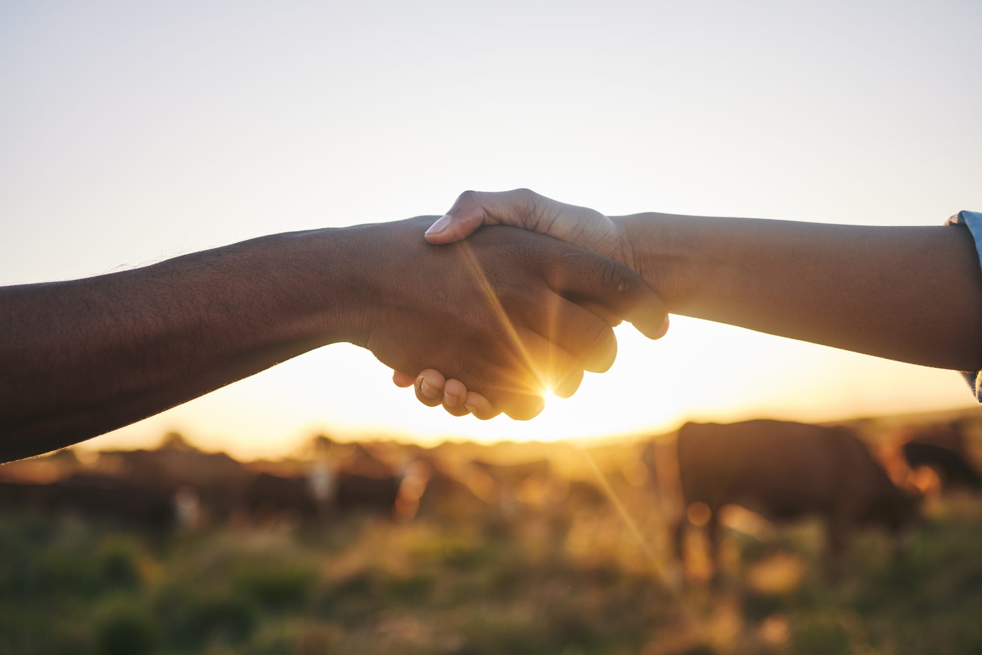 L'obligation de soins et l'alliance thérapeutique au cœur du suivi des personnes accompagnées par le réseau VIRAGE