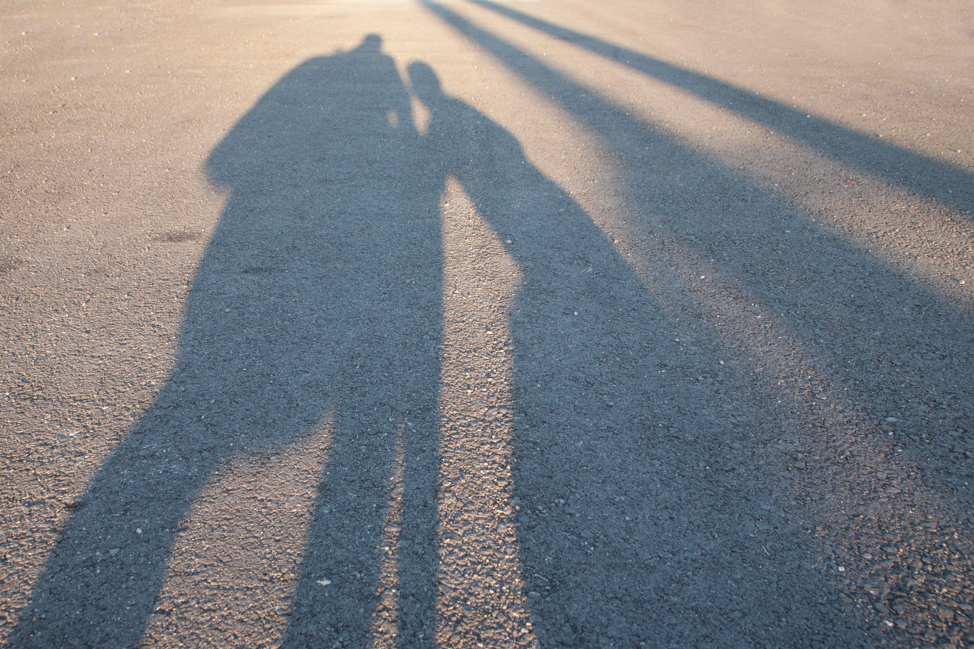 PA - Parental Alienation