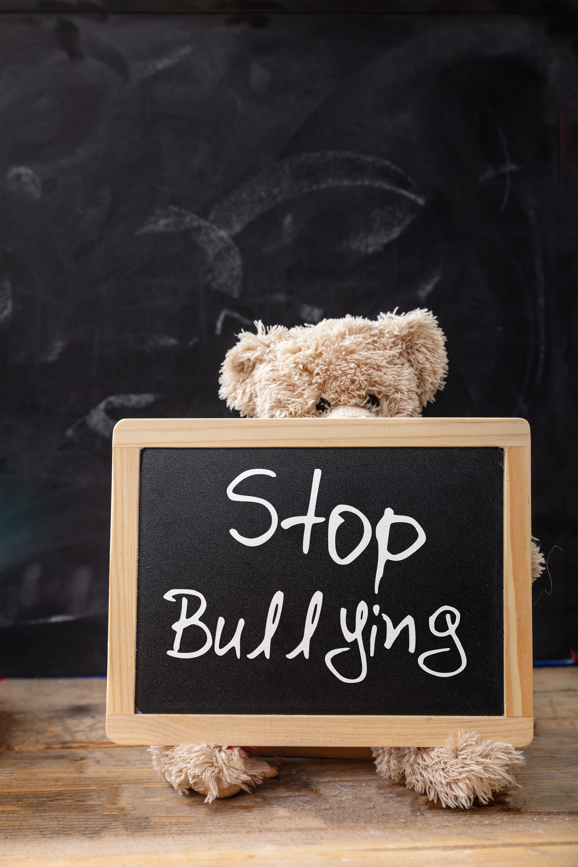 Other Kinds of Bullying