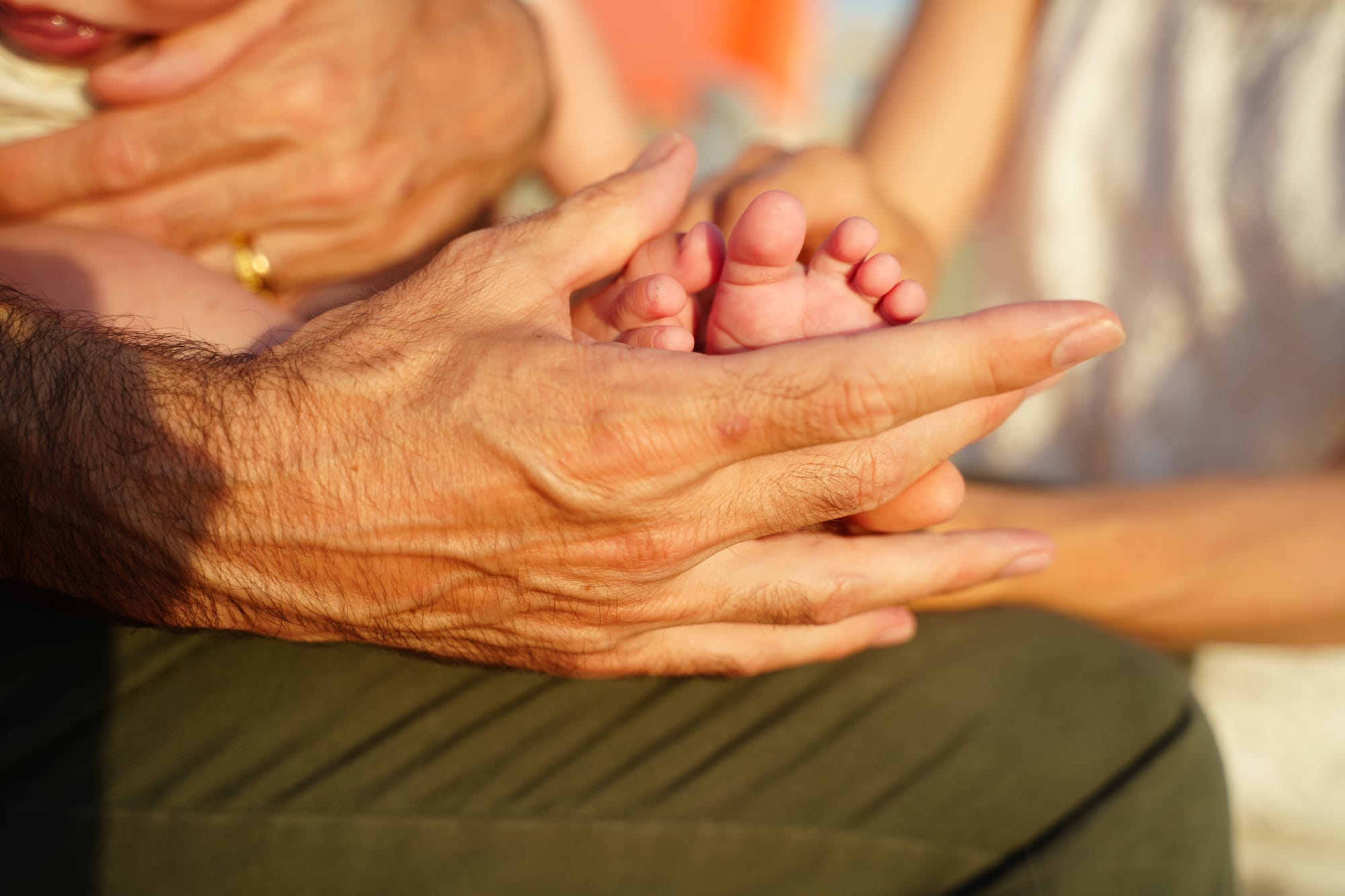 LEGACY - Your Stately Family & Your Personality, Transcend the Generations