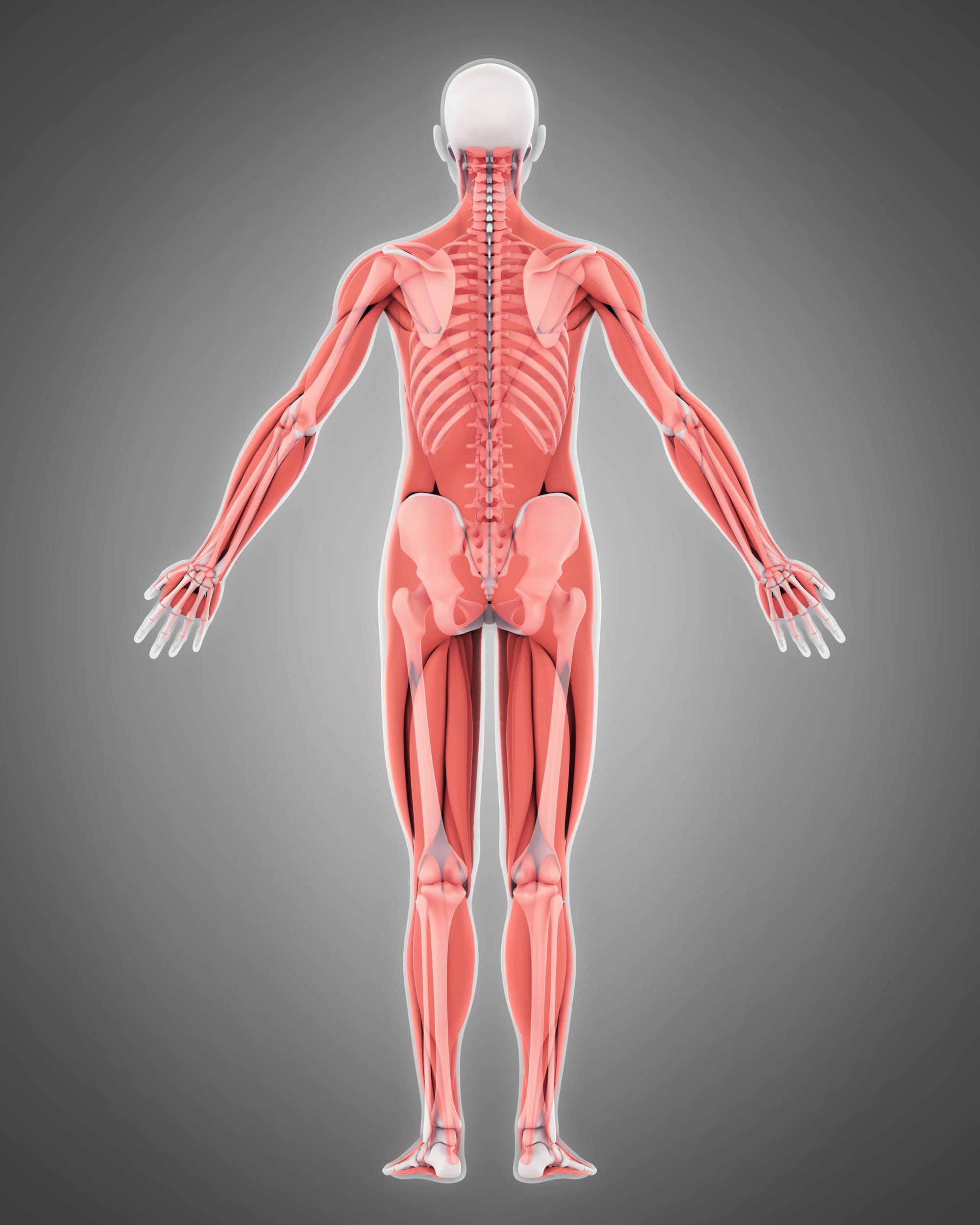 FSHD and Nutrition - Let's get started