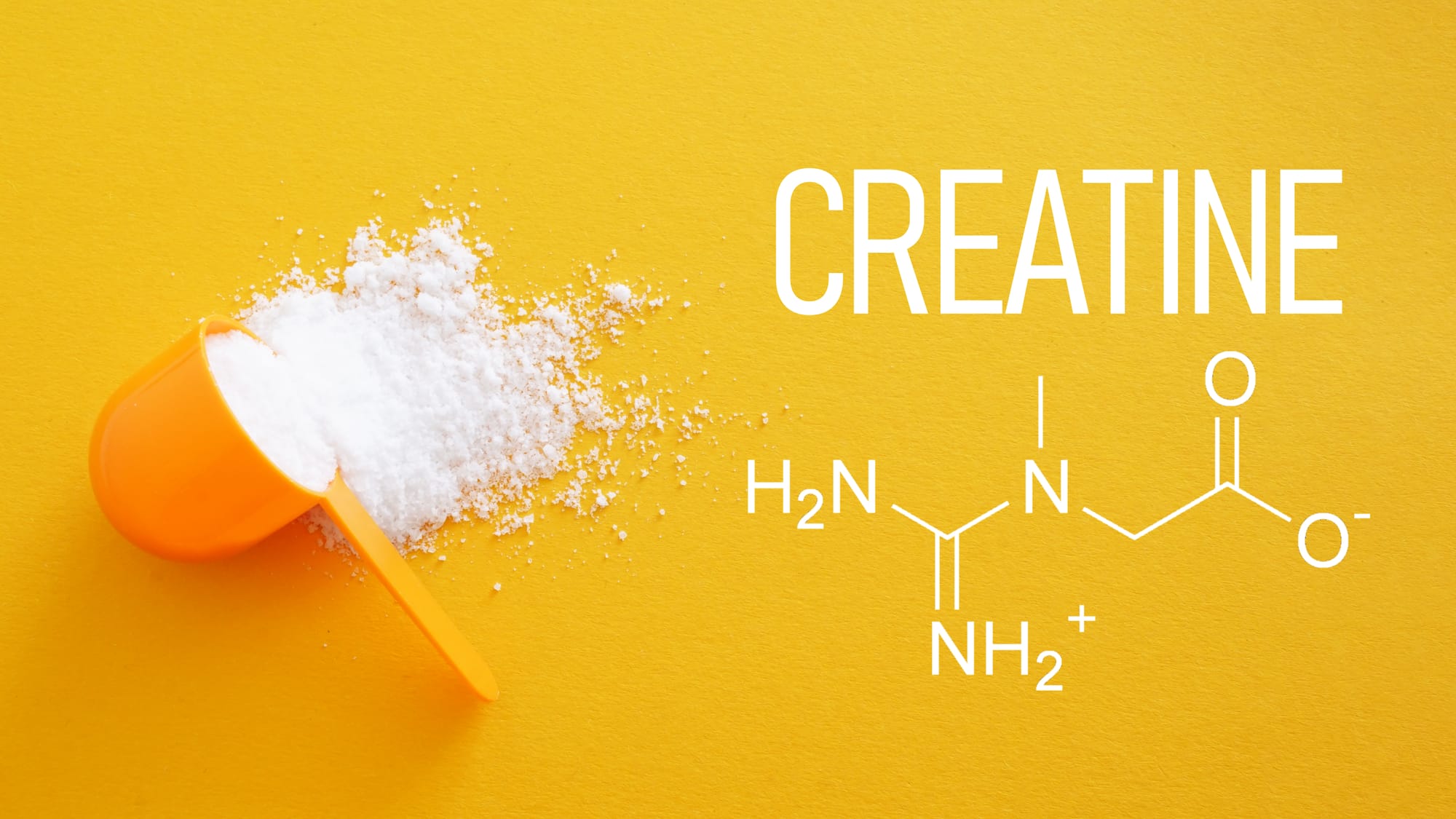 Creatine for FSHD