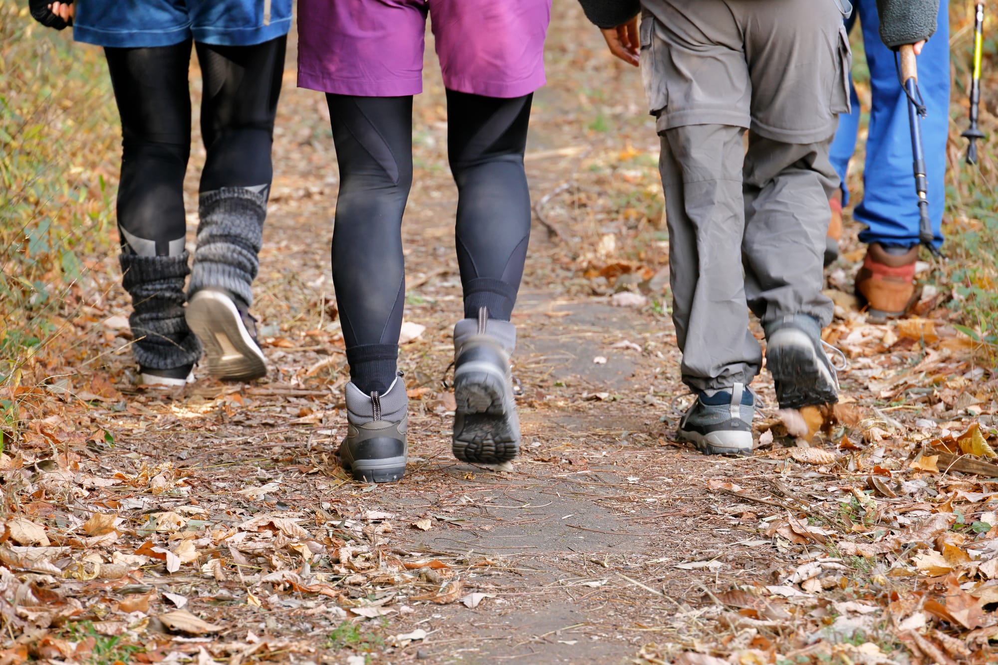 Walk and Roll!  September 19, 2026