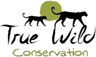 True Wild