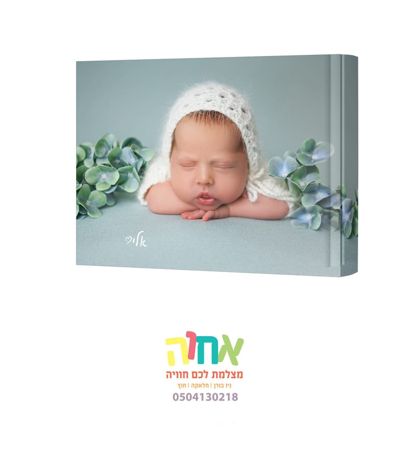 עיצובים 