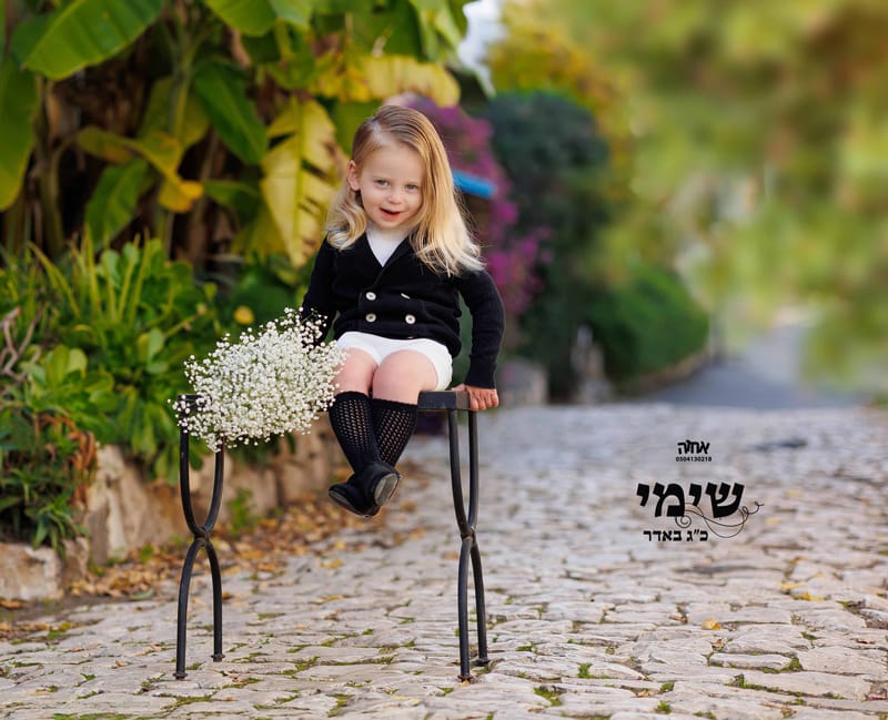 עיצובים 
