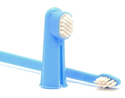 Dental Care for Dogs and Cats:                Why It Matters.