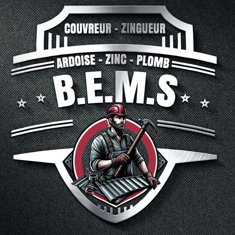 B.E.M.S