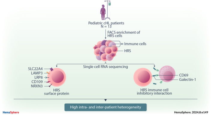 Single-cell RNA sequencing of pediatric Hodgkin lymphoma to study the inhibition of T cell subtypes