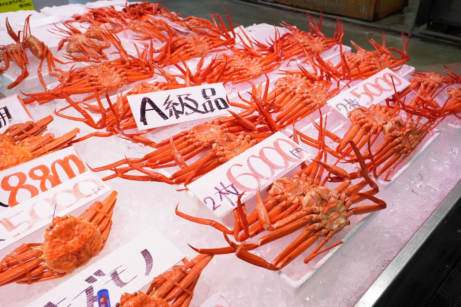 【休日日記】鳥取・境港へ！絶品松葉ガニと温泉でフル充電してきました🦀♨️2025.12.5
