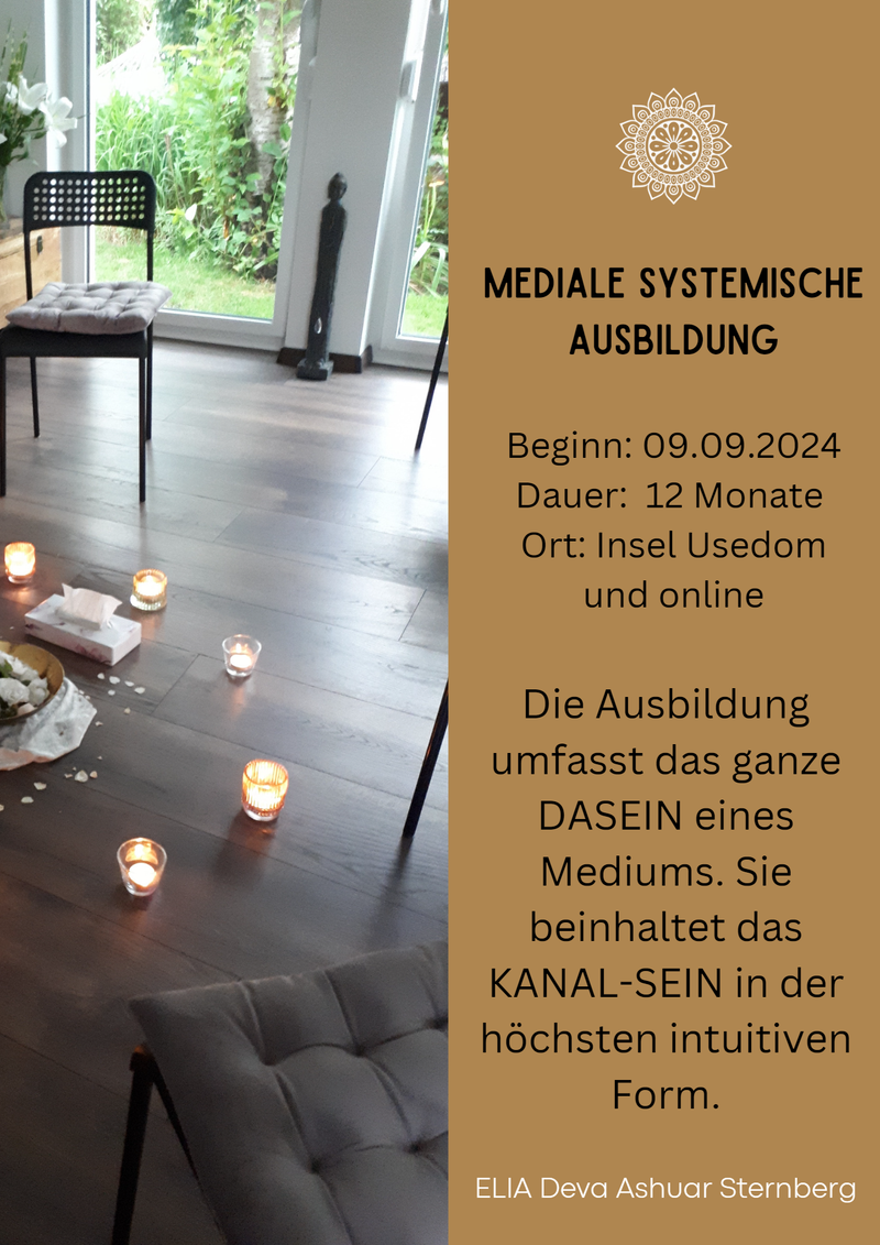 AUSBILDUNG zum Medialen systemischen Coach