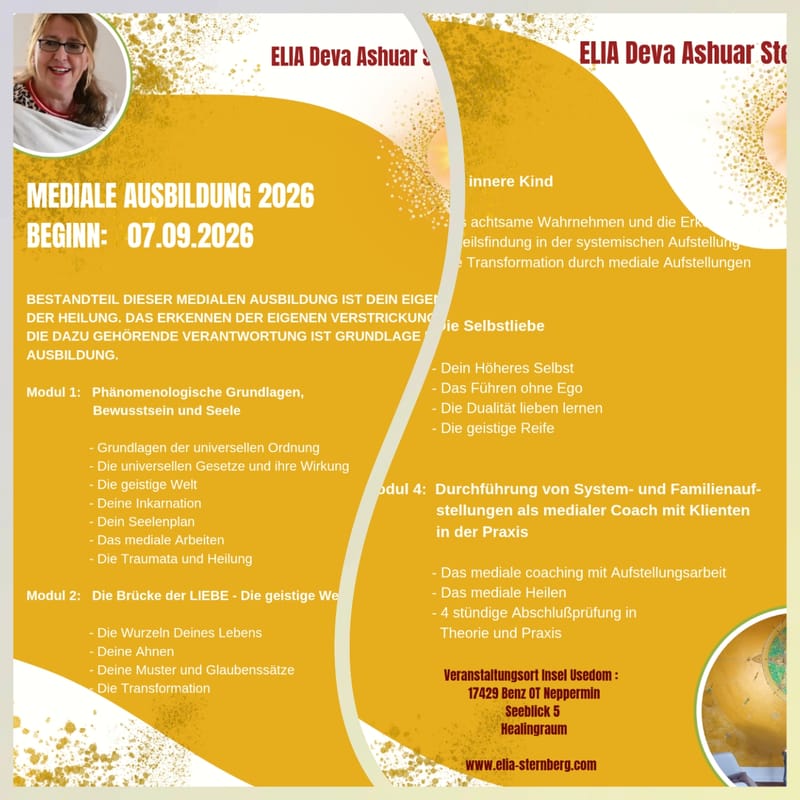 AUSBILDUNG zum Medialen systemischen Coach