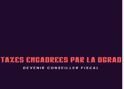 LES SERVICES D'ASSIETTES & TAXES ENCADREES PAR LA DGRAD