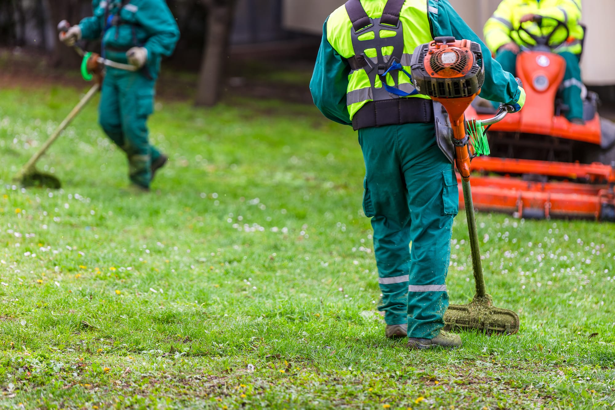 LANDSCAPING SERVICE