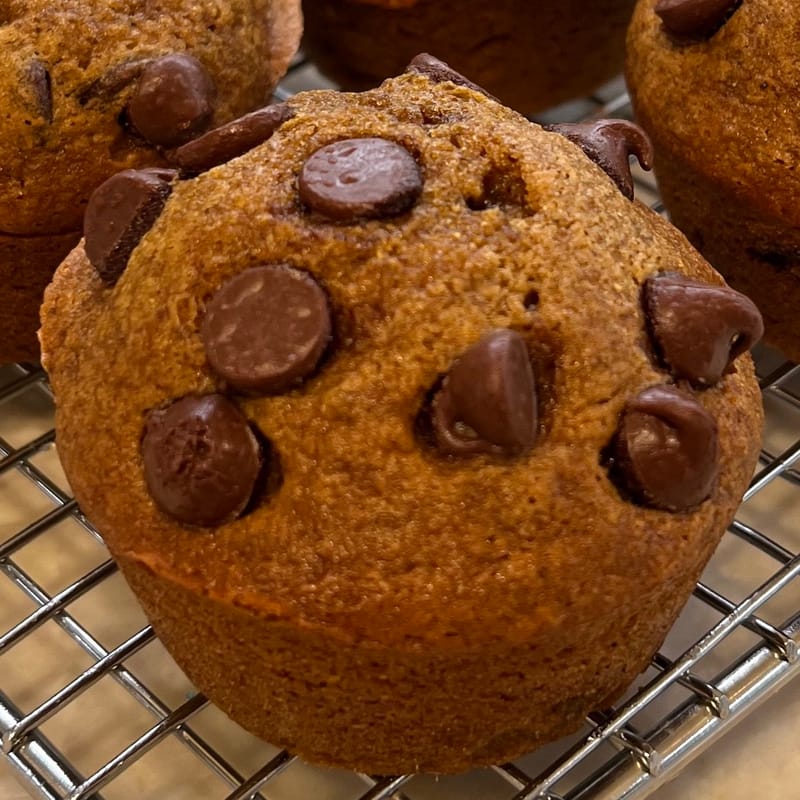 Pumpkin Chocolate Chip Muffin Crumb (Seasonal Crumb)