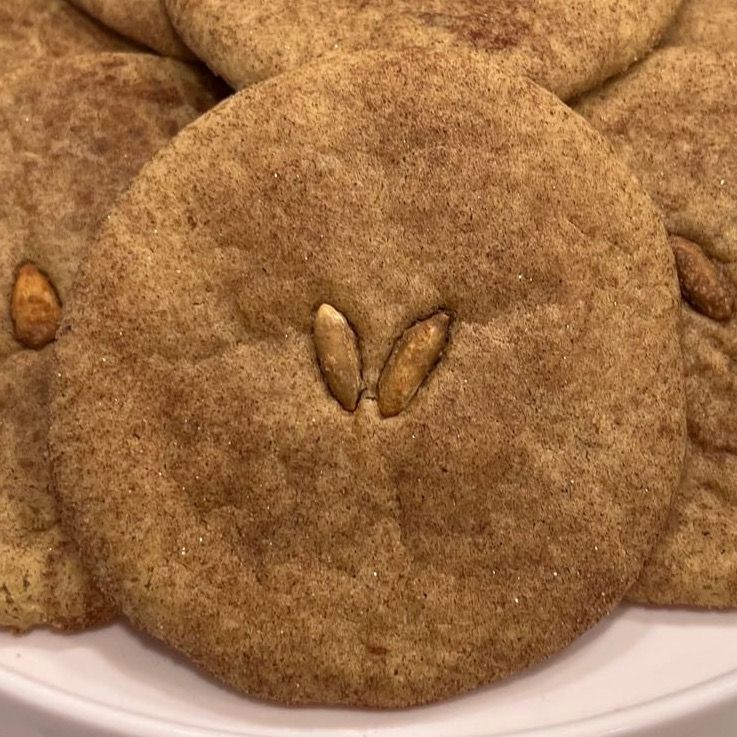 Pumpkindoodle