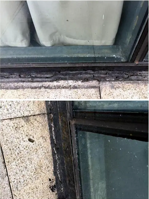 Figure 2 The three-layer sealant of insulating glass hardens, shrinks, and cracks