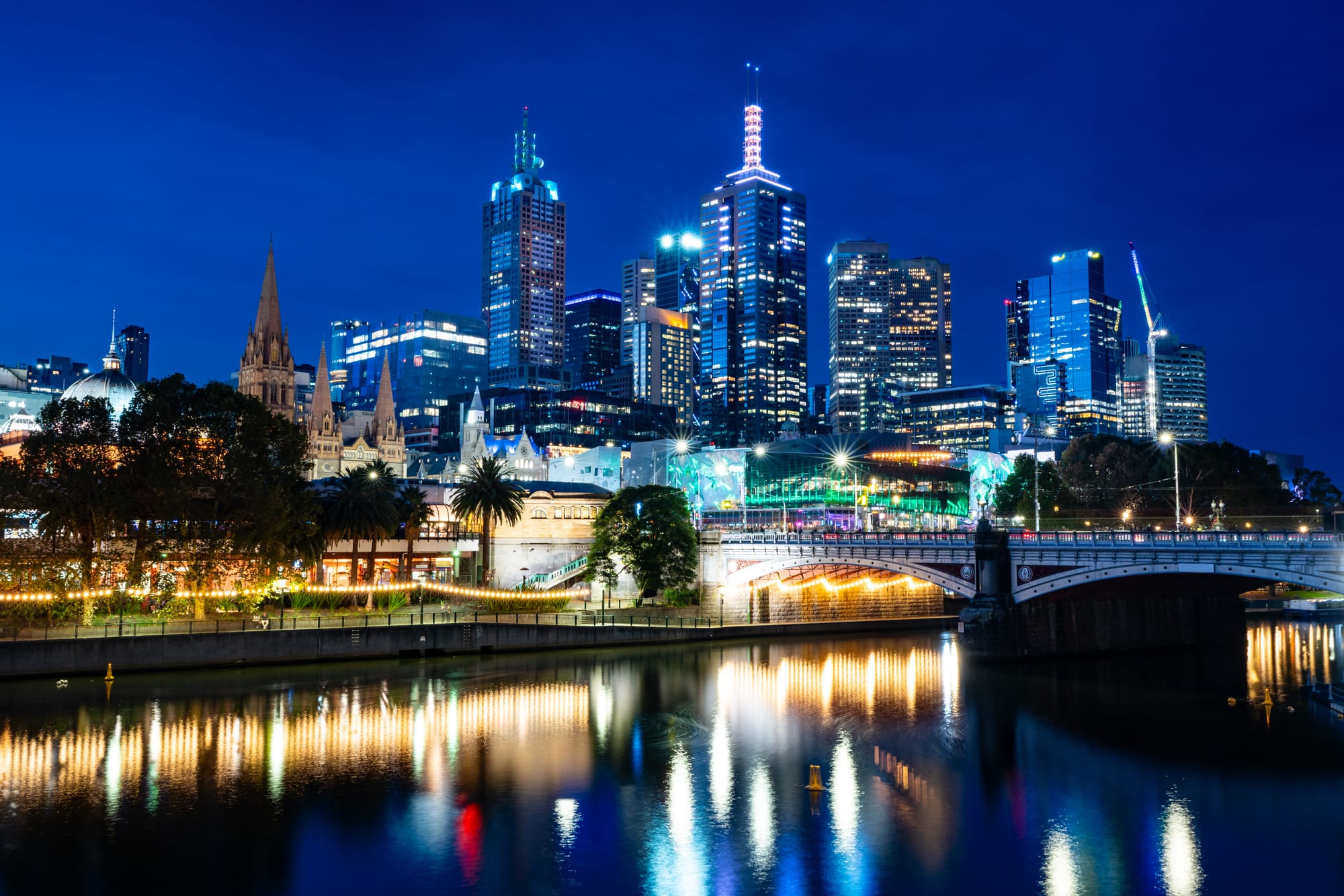 生花フェスティバル体験談:２０２４