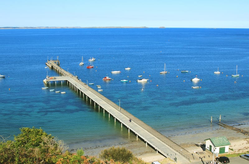 Mornington Peninsula Discovery Tour & Hana-Awase at Beleura House