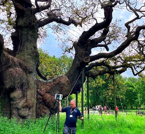 Scanning The Major Oak