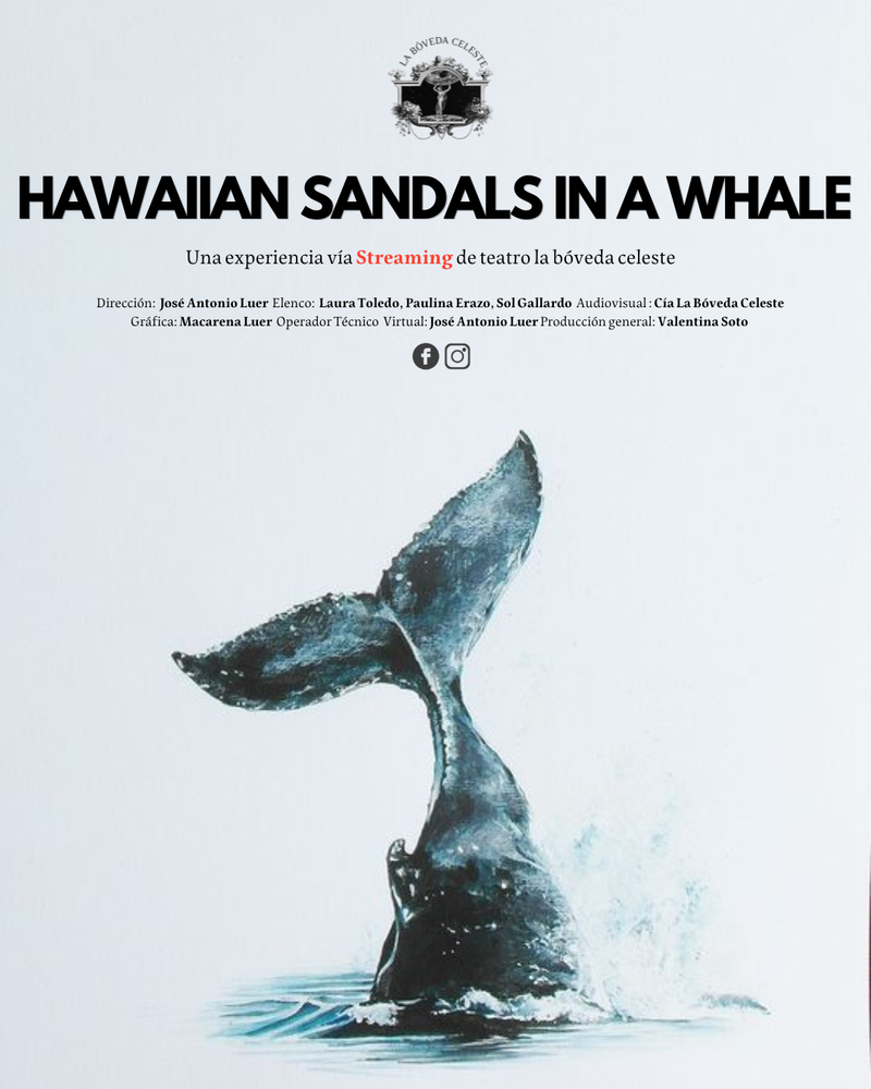 Hawaiian Sandals in a Whale