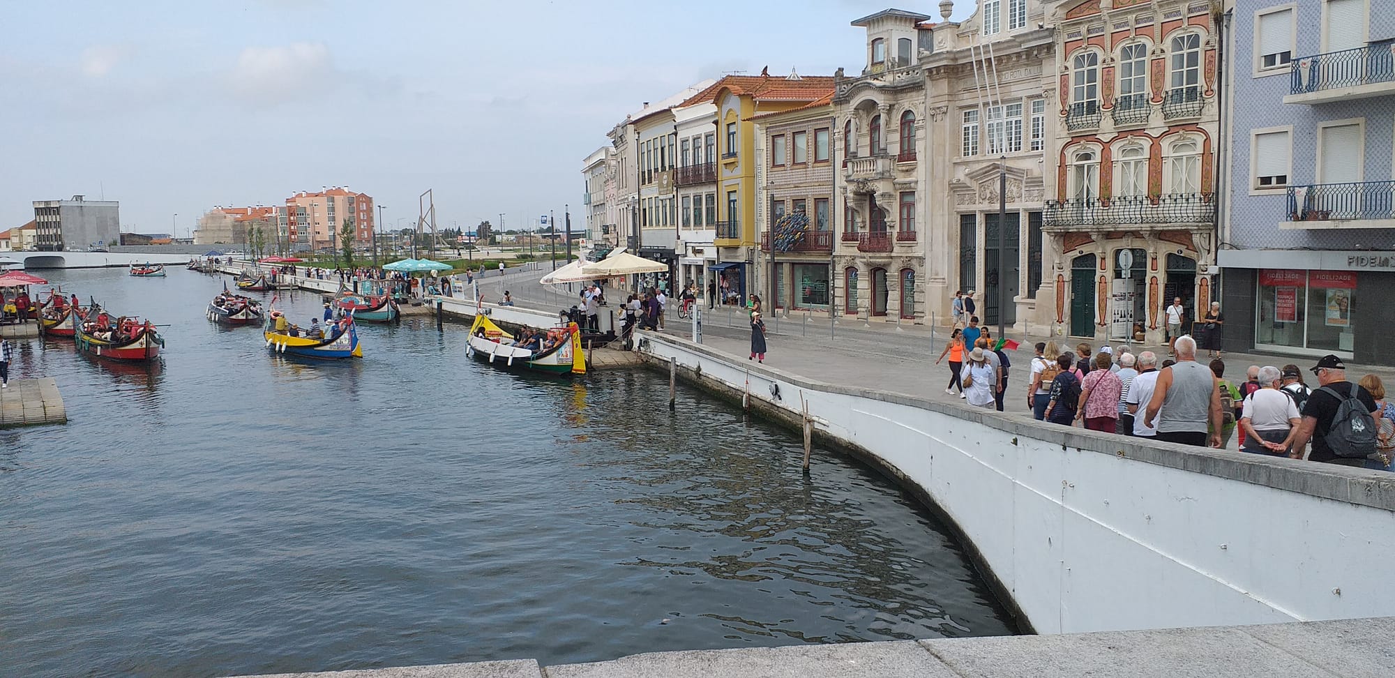 JOUR 2-20-09- AVEIRO-LUSO-MEALHADA