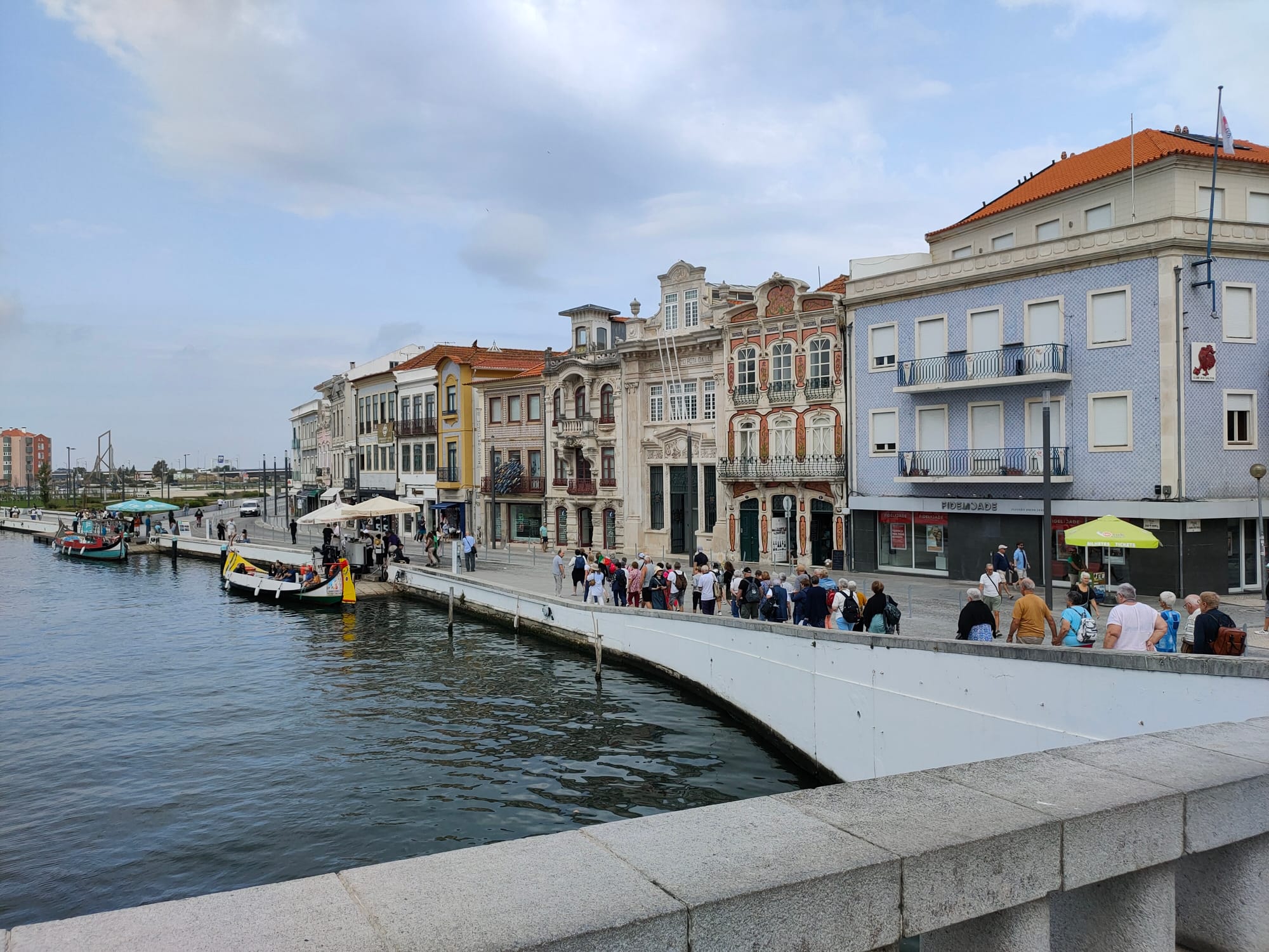 JOUR 2-20-09- AVEIRO-LUSO-MEALHADA