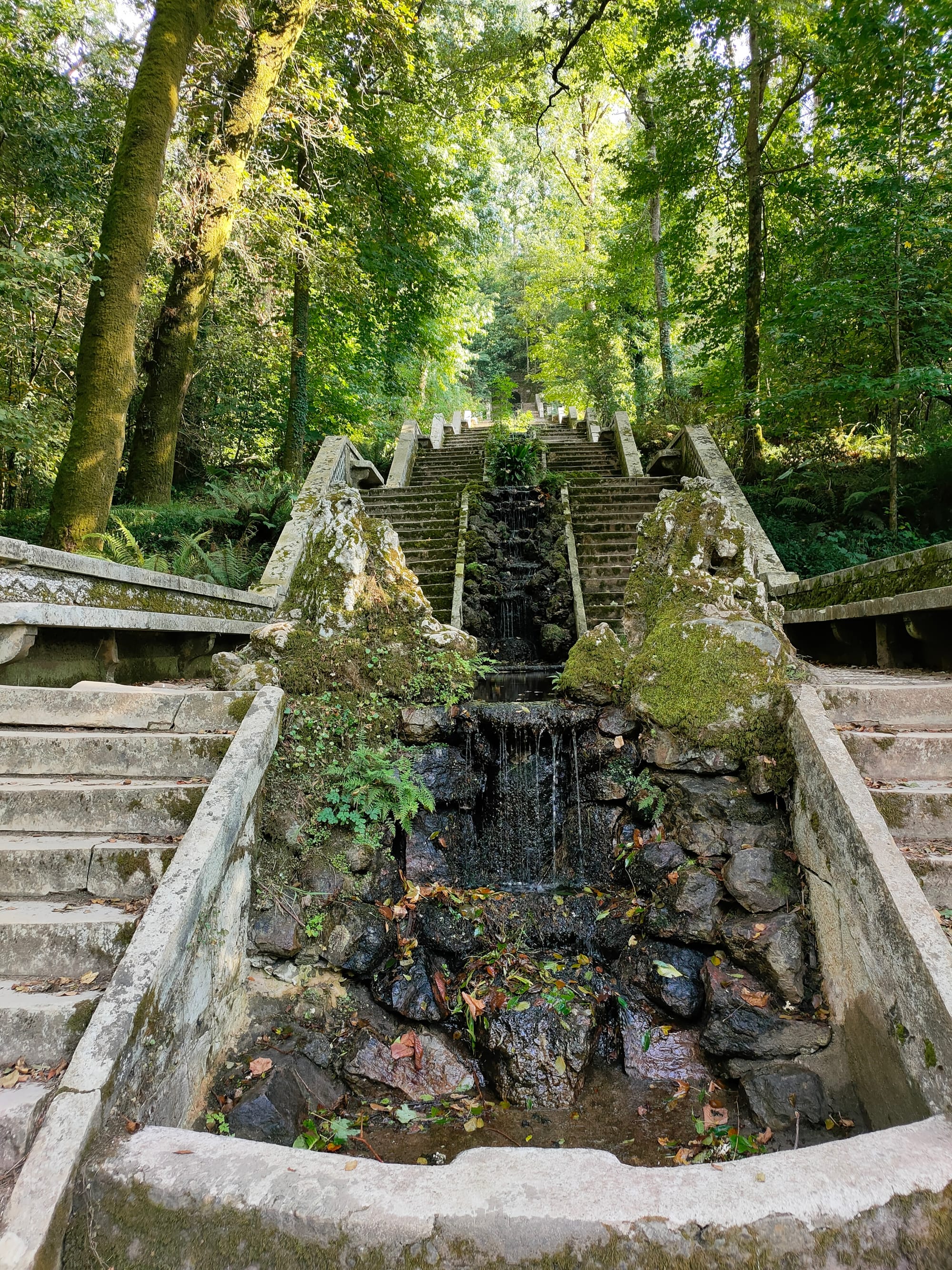 JOUR 2-20-09- AVEIRO-LUSO-MEALHADA