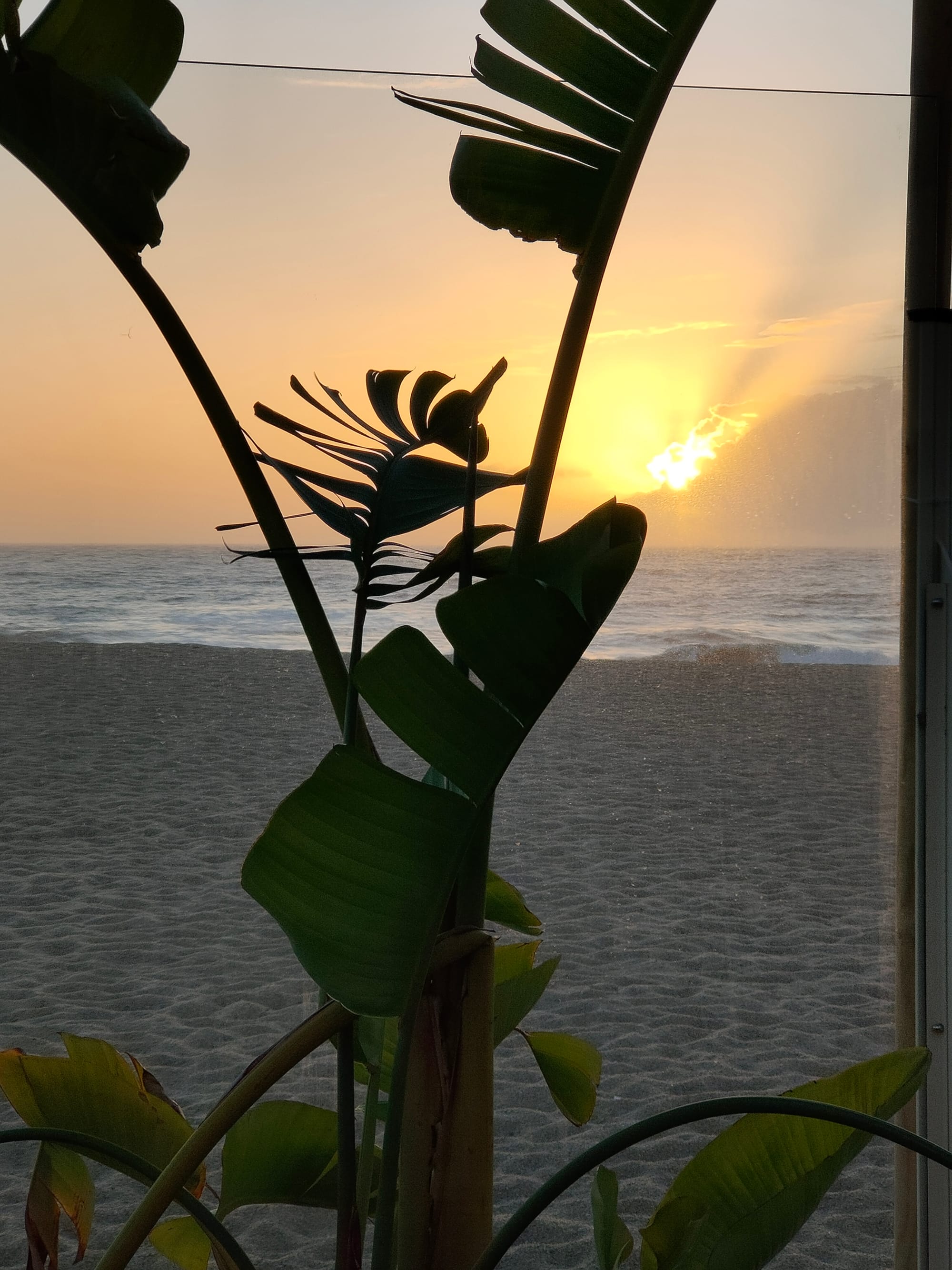 JOUR 8-26-09- Départ pour l'aéroport