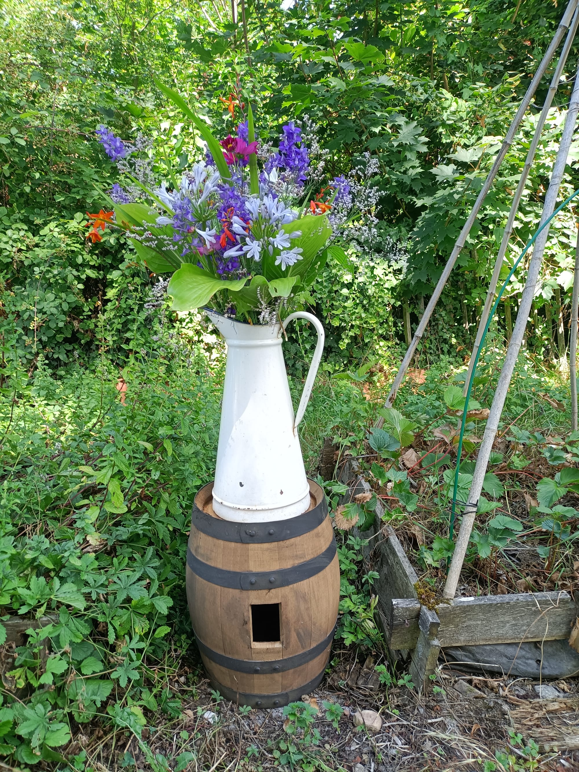 RESTAURATION ET HYDRATATION