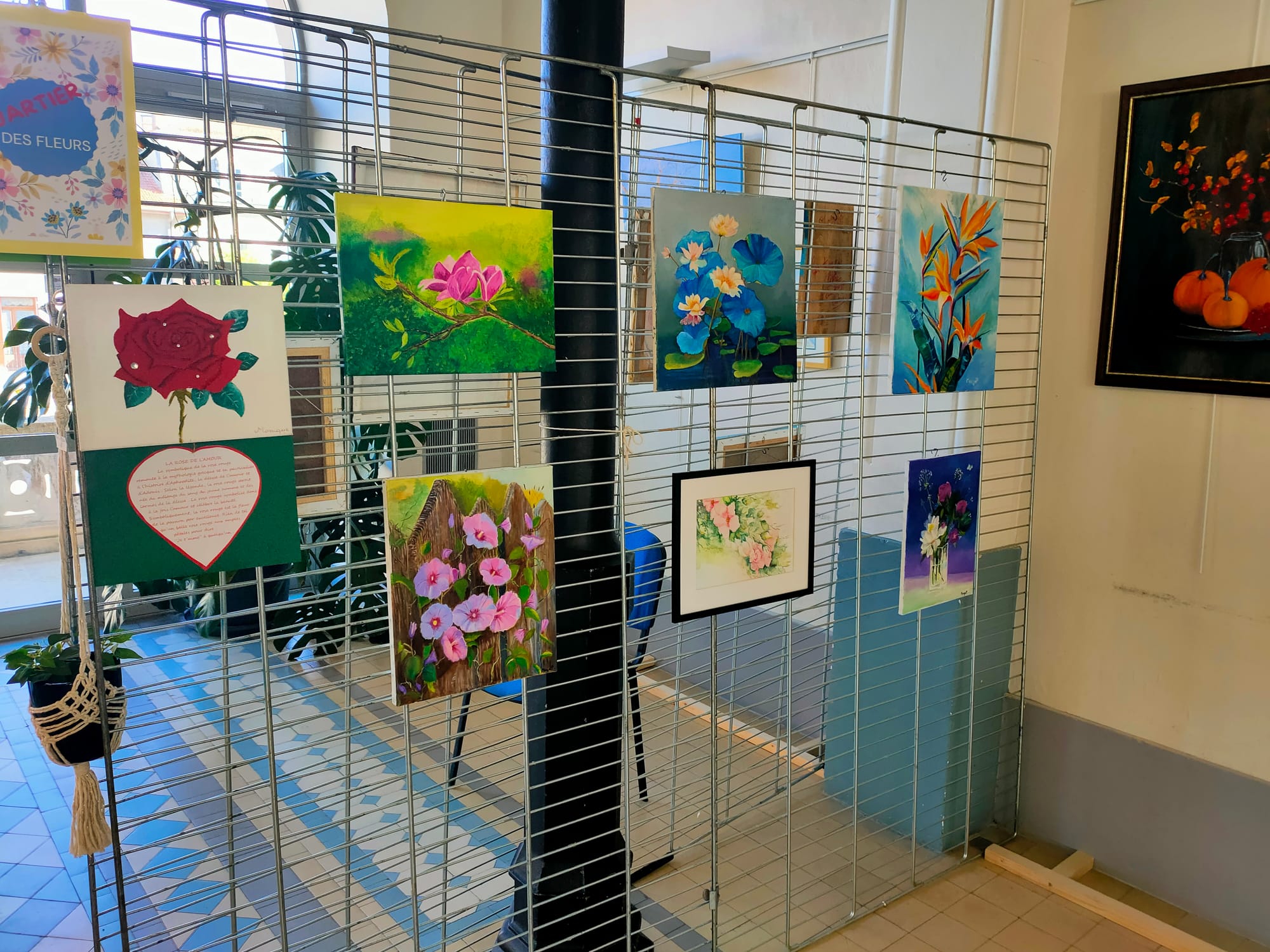 photos