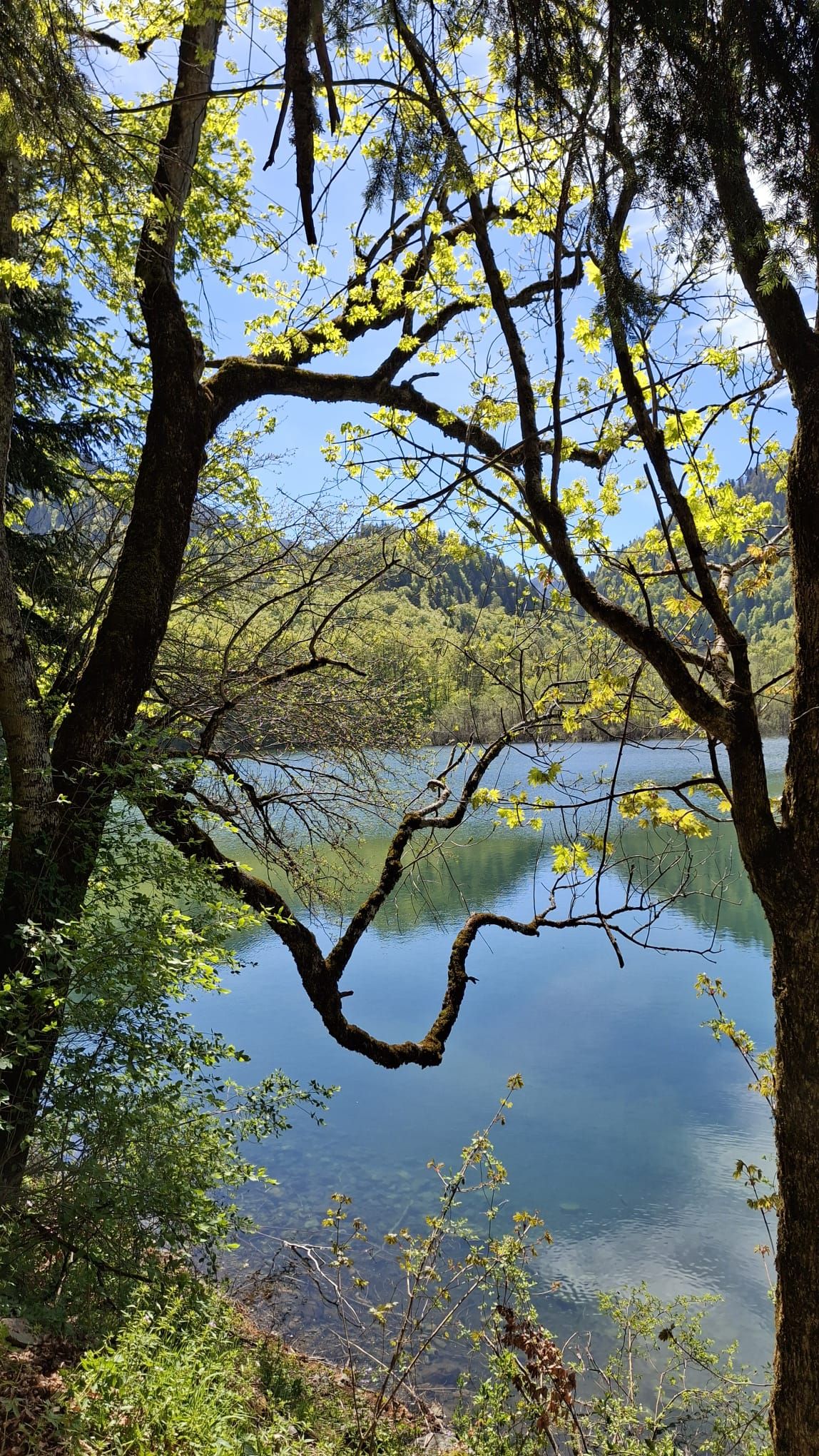 JOUR 4-05 mai 2026