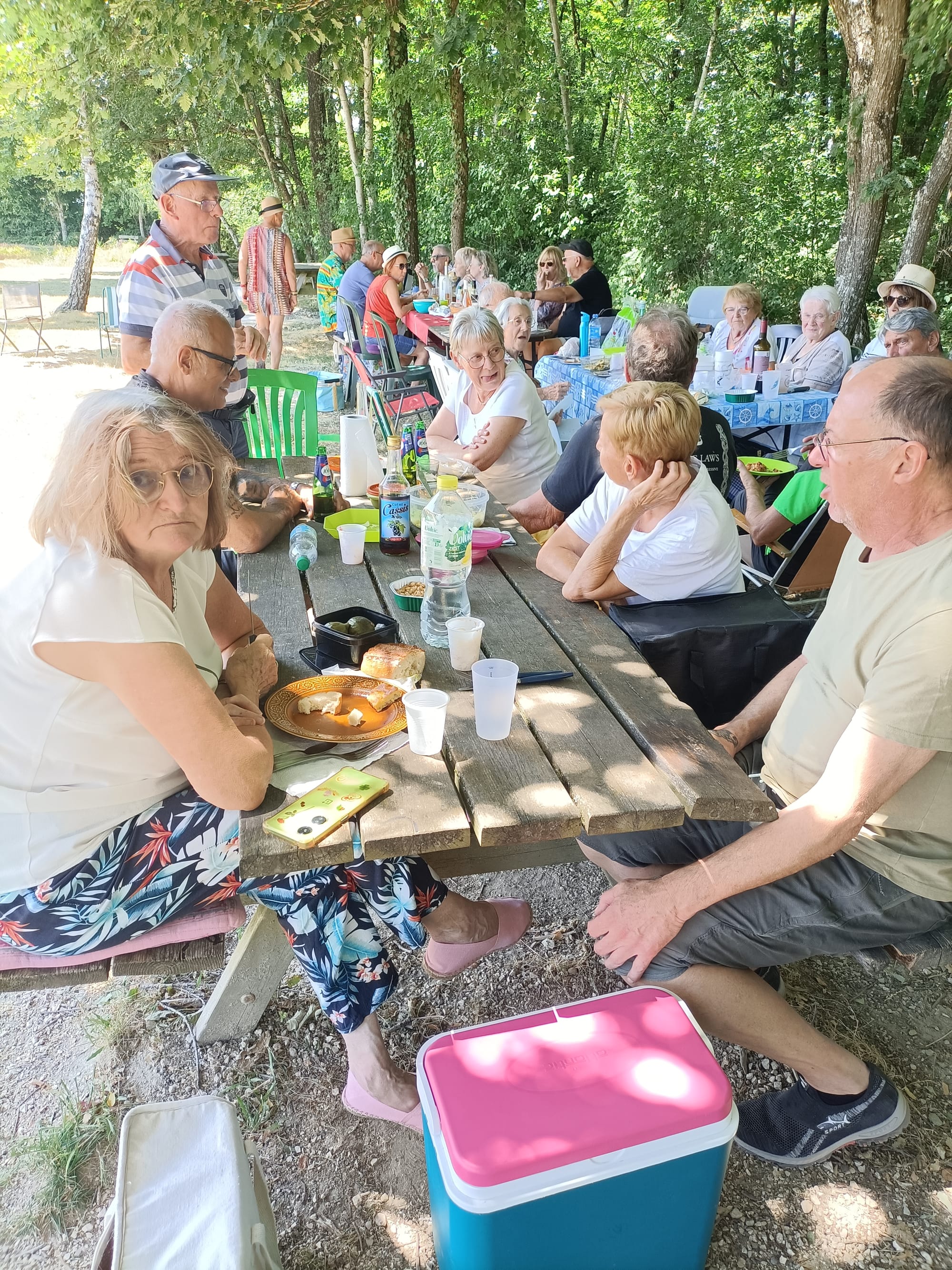 PIC NIC ETANG DE MARNANS