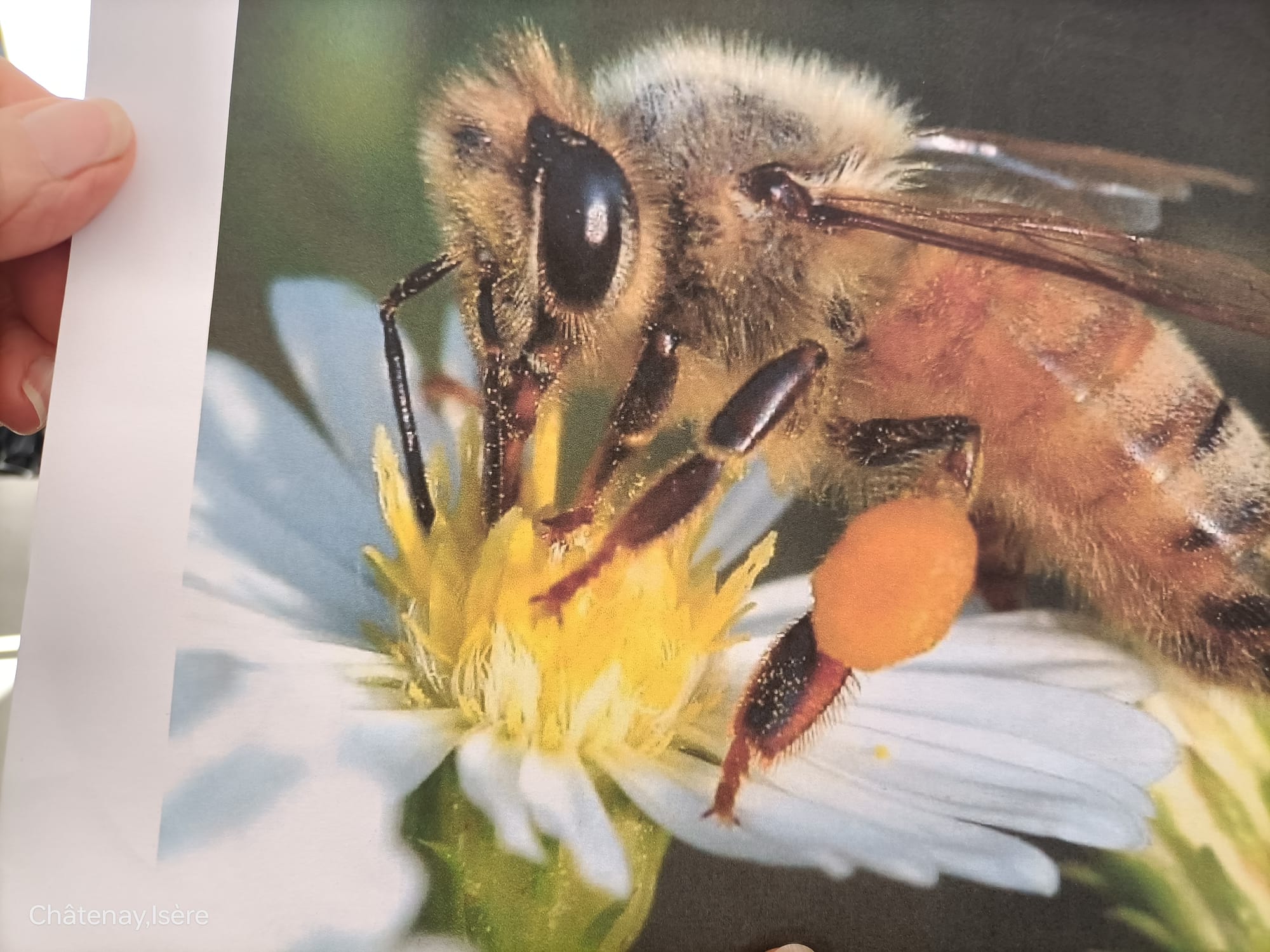 photos de la journée