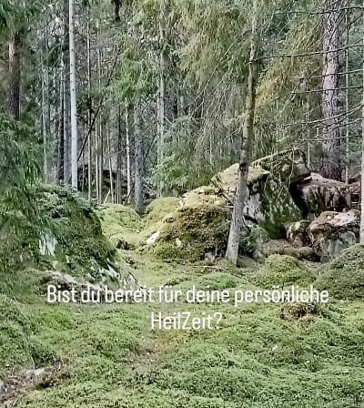 Über uns image