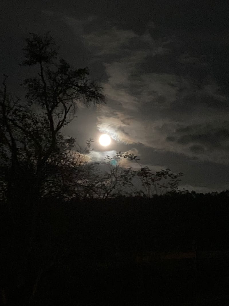 Vollmond Zeremonie im Heilkreis der Pferde