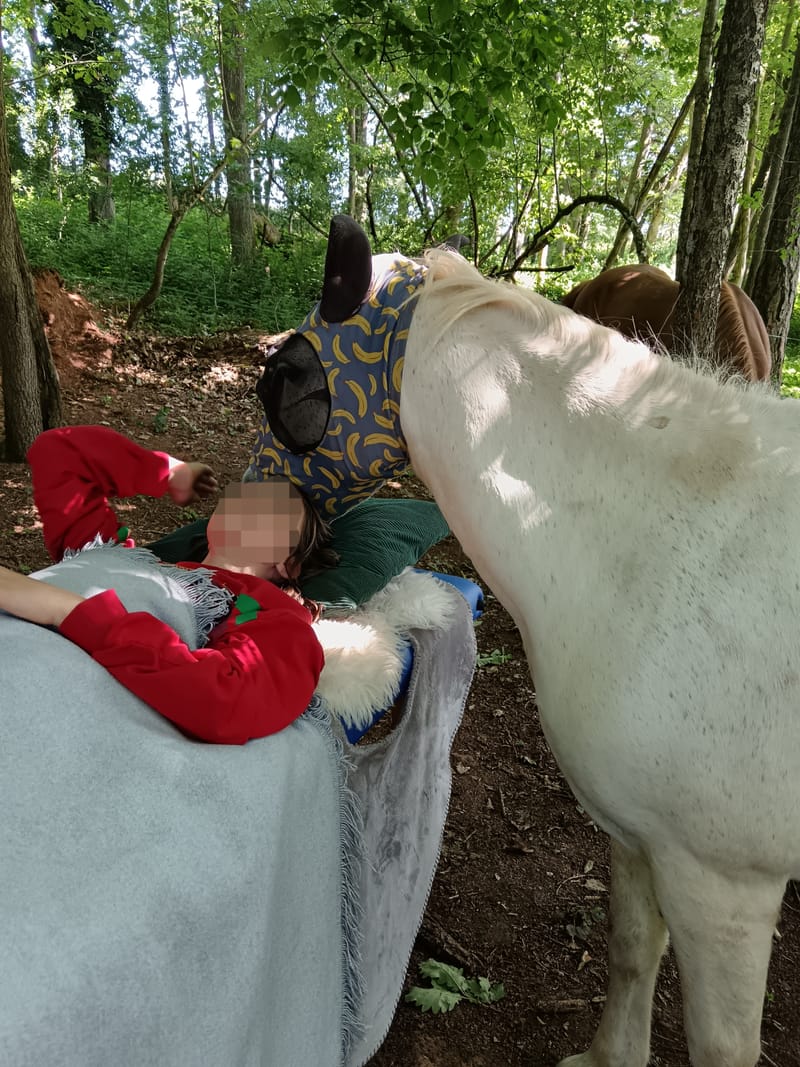 HeilZeit in der Natur mit Pferden