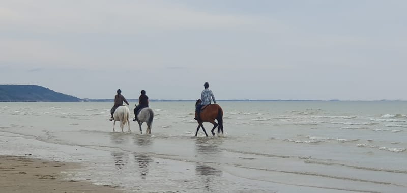 TERRE ET MER