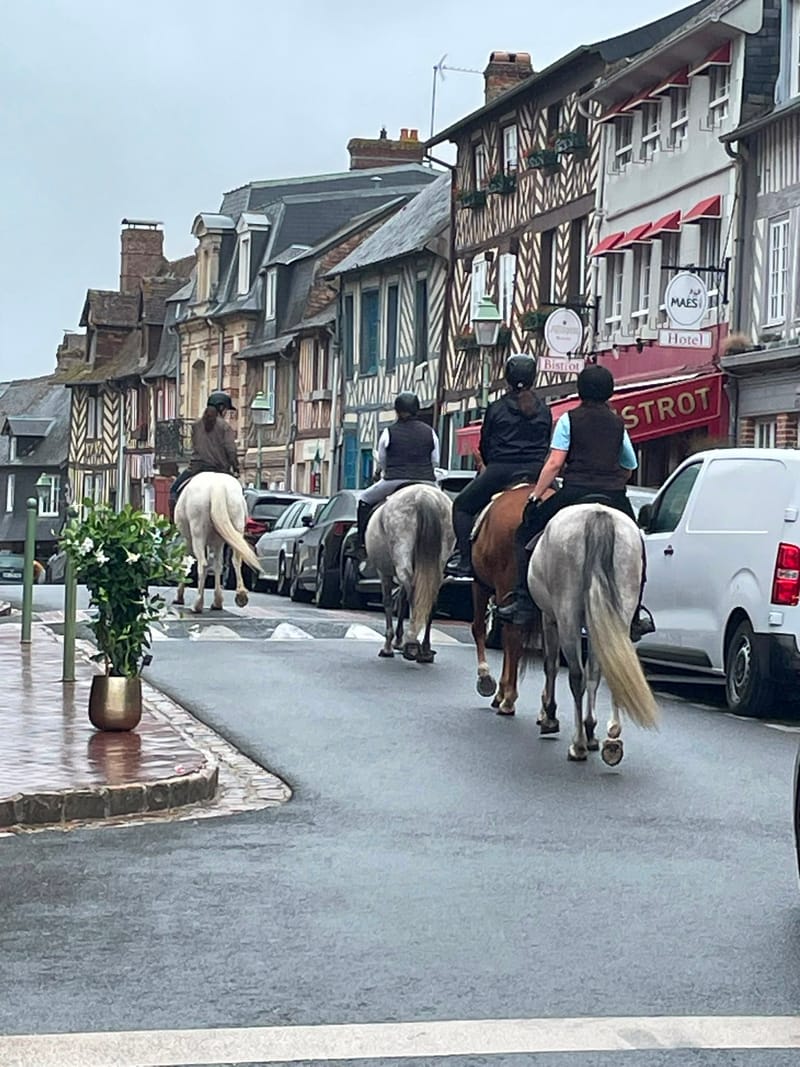 ENTRE TERRE ET HISTOIRE