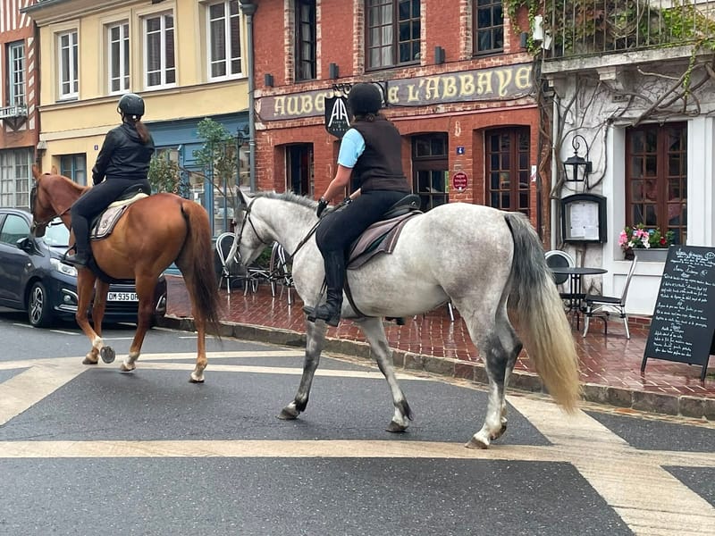 RANDONNÉE POUR DEBUTANTS CAMPAGNE ET HISTOIRE