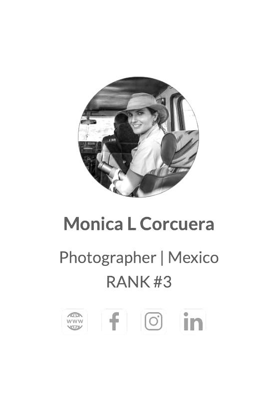 JURY - WORLD'S TOP 10 WOMEN PHOTOGRAPHERS 2024