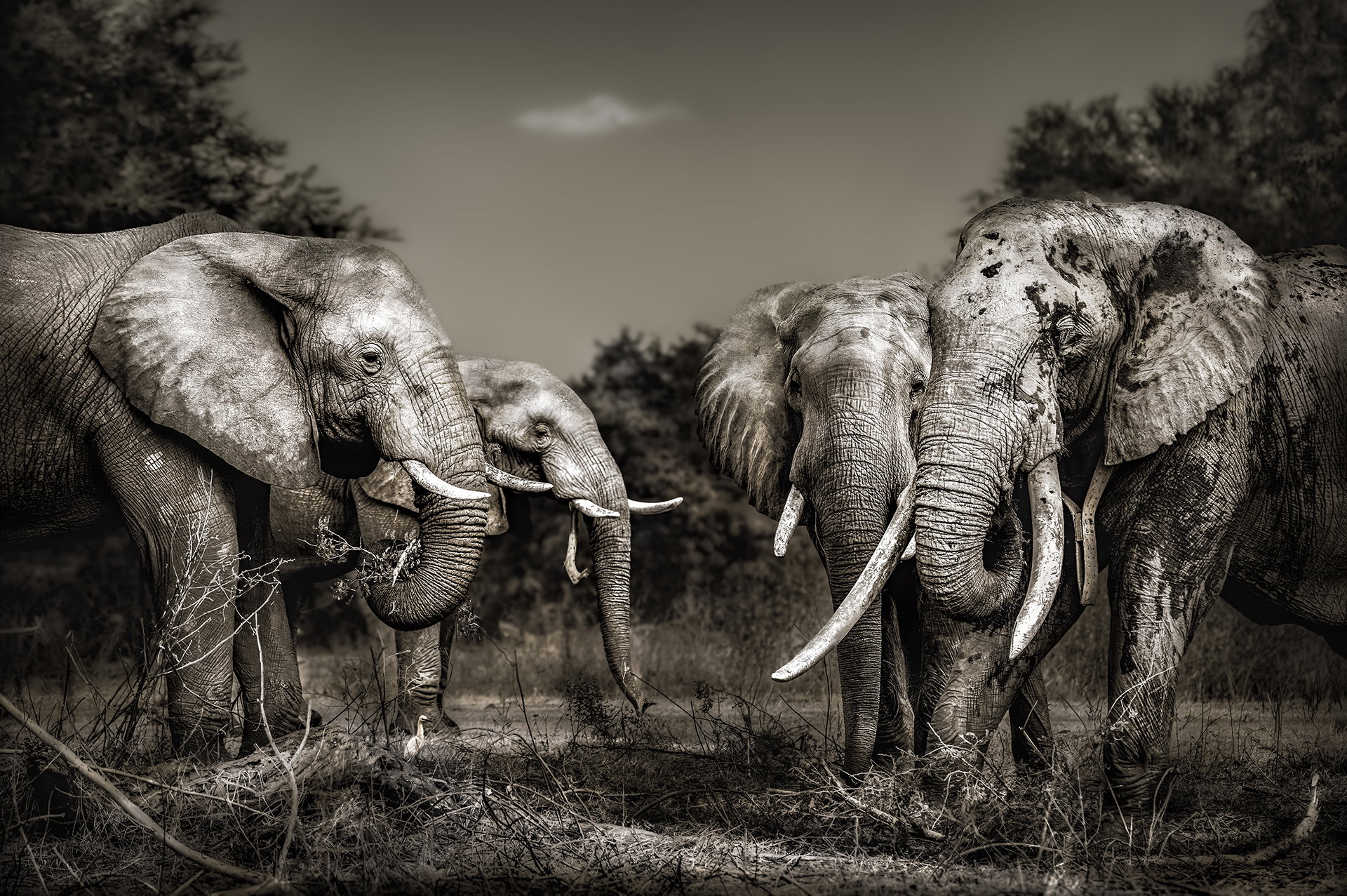 "THE GIANT AND HIS APPRENTICES" *10