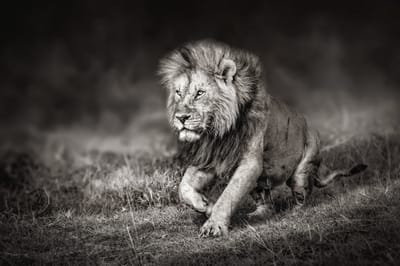 THE ART OF THE PRINT image