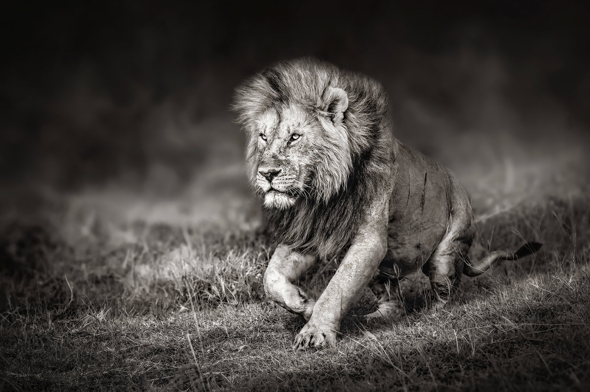 FIERCE 05