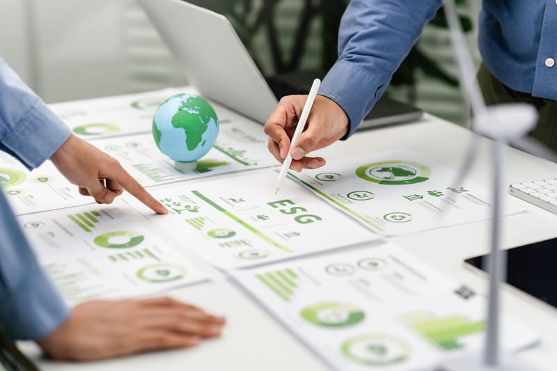 El Ecosistema Completo - Plan Integral